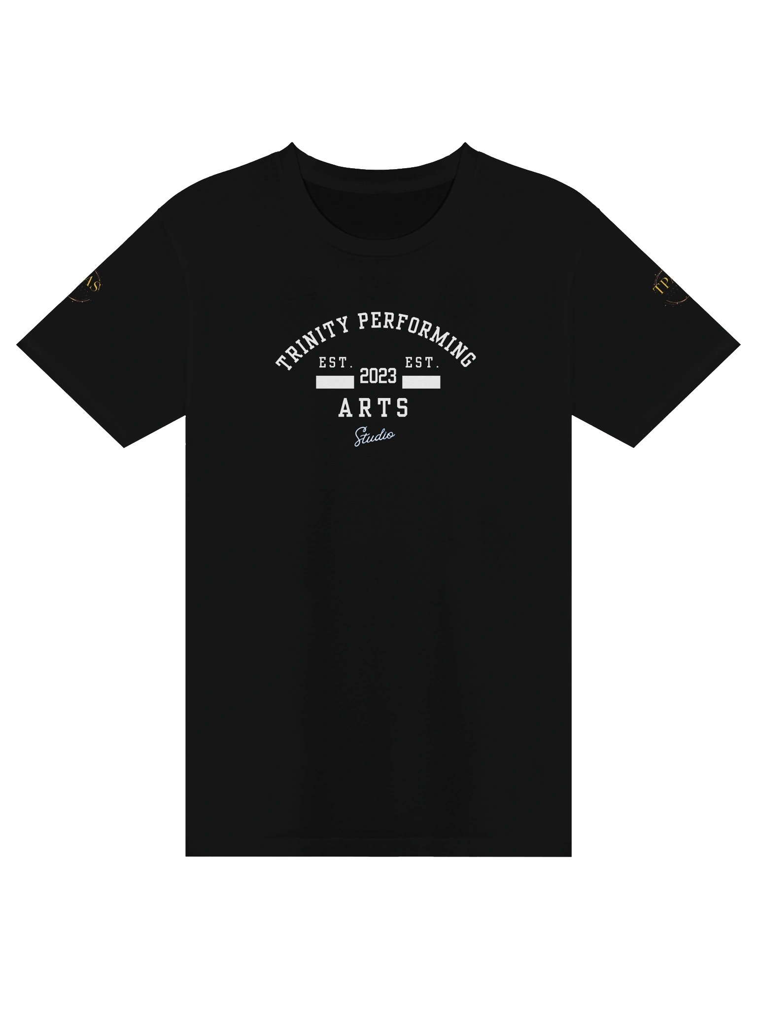 Academy Unisex premium T-shirt product image (1)