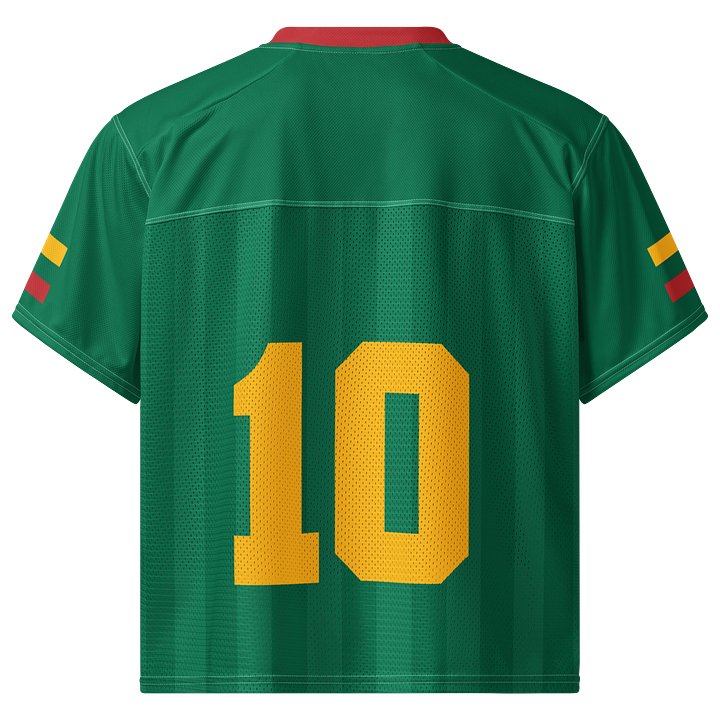 Lithuania Boxy Sports Tee product image (2)