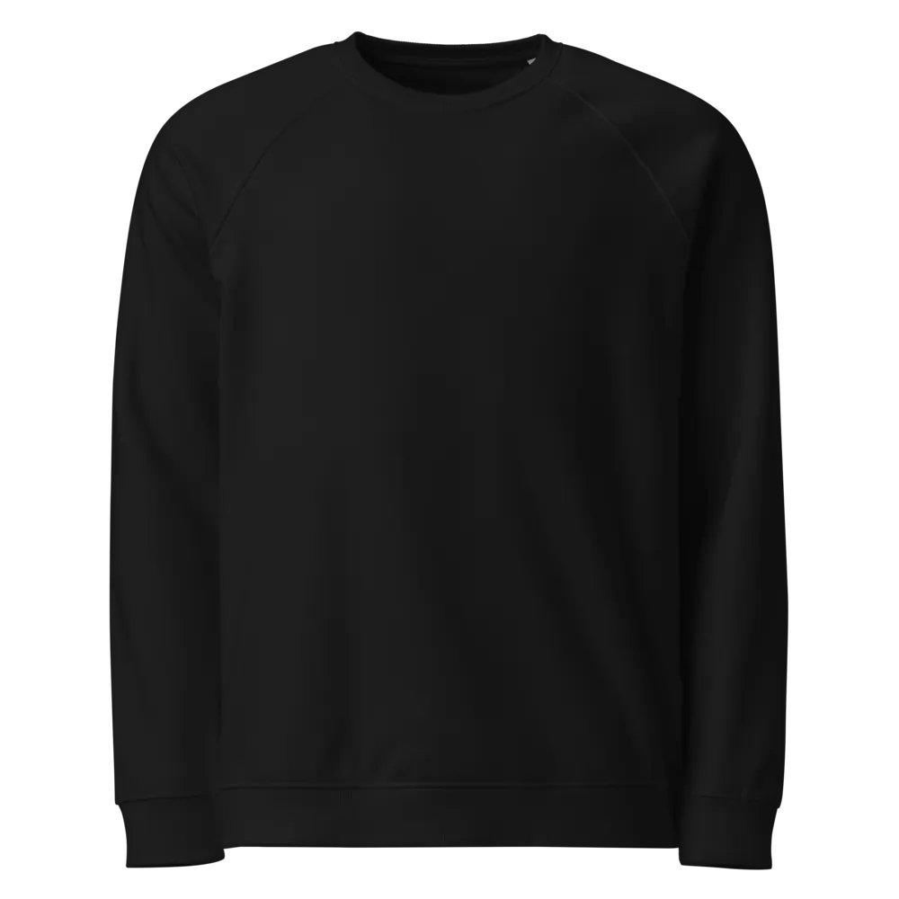Plain Color Black Raglan Sweatshirt product image (5)