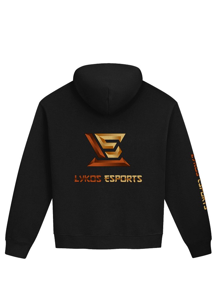 Lykos Esports Oversized Hoodie product image (2)