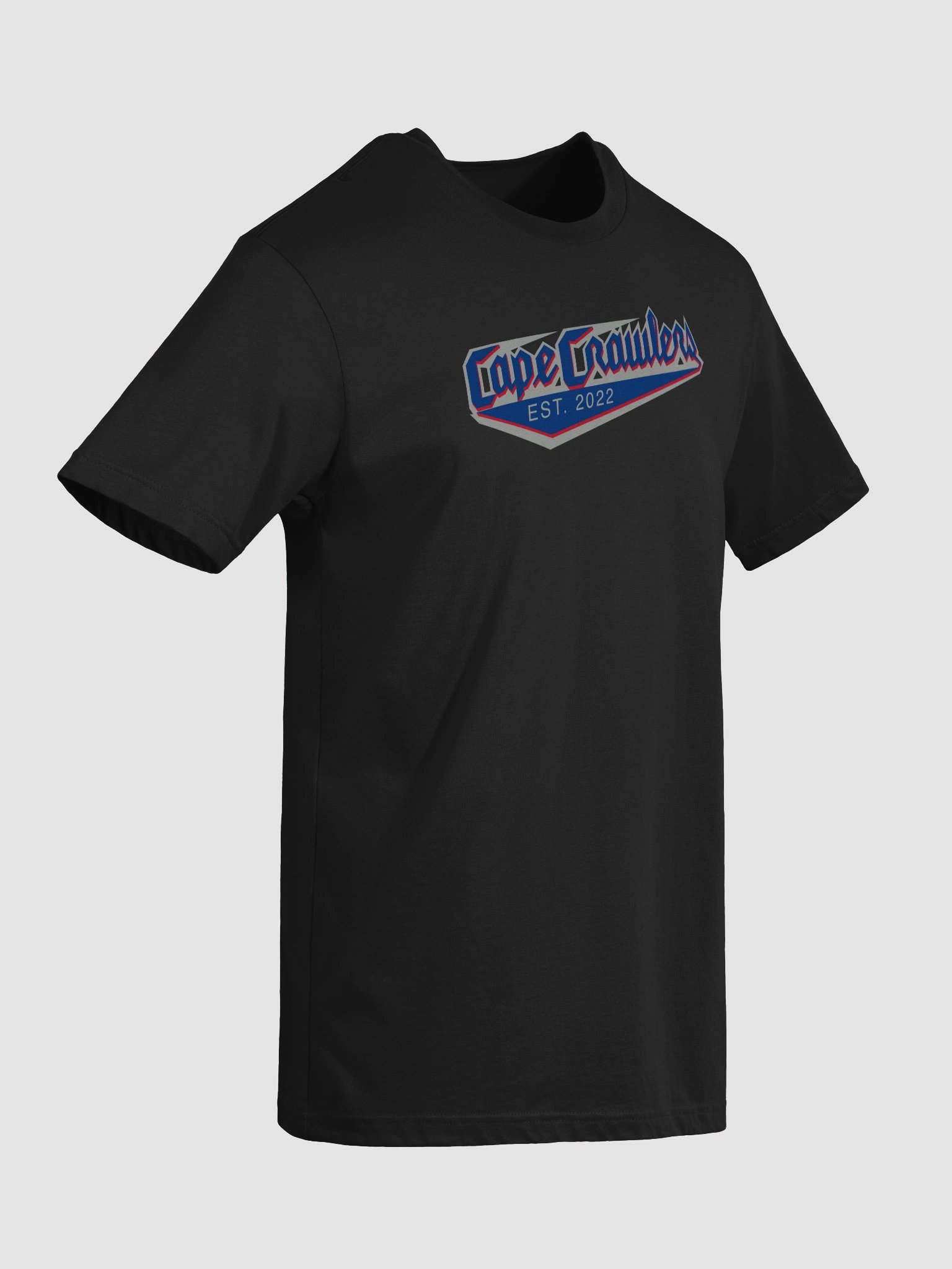 Varsity Logo Tee (blue) product image (13)