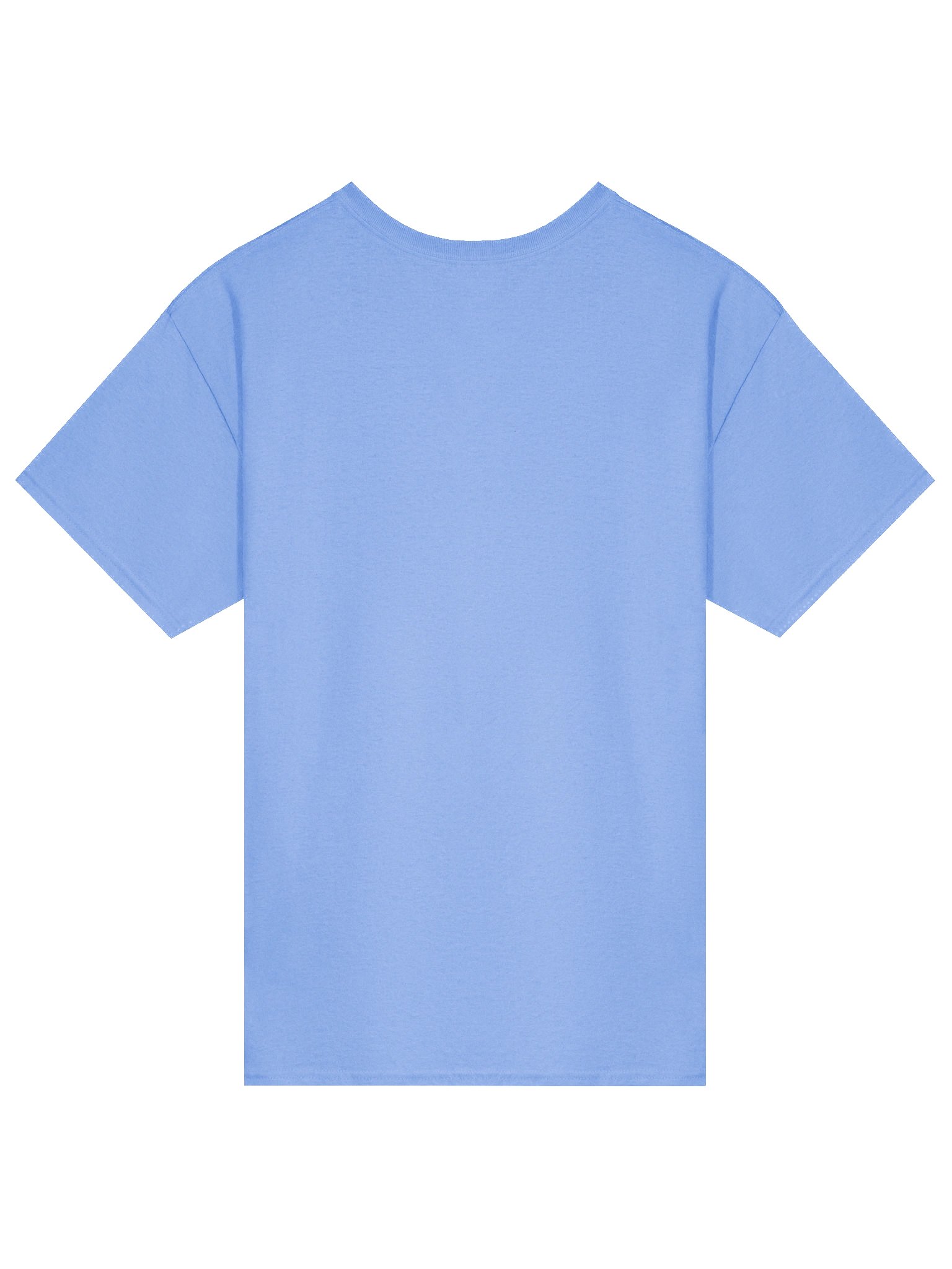 Flagship T-Shirt product image (2)