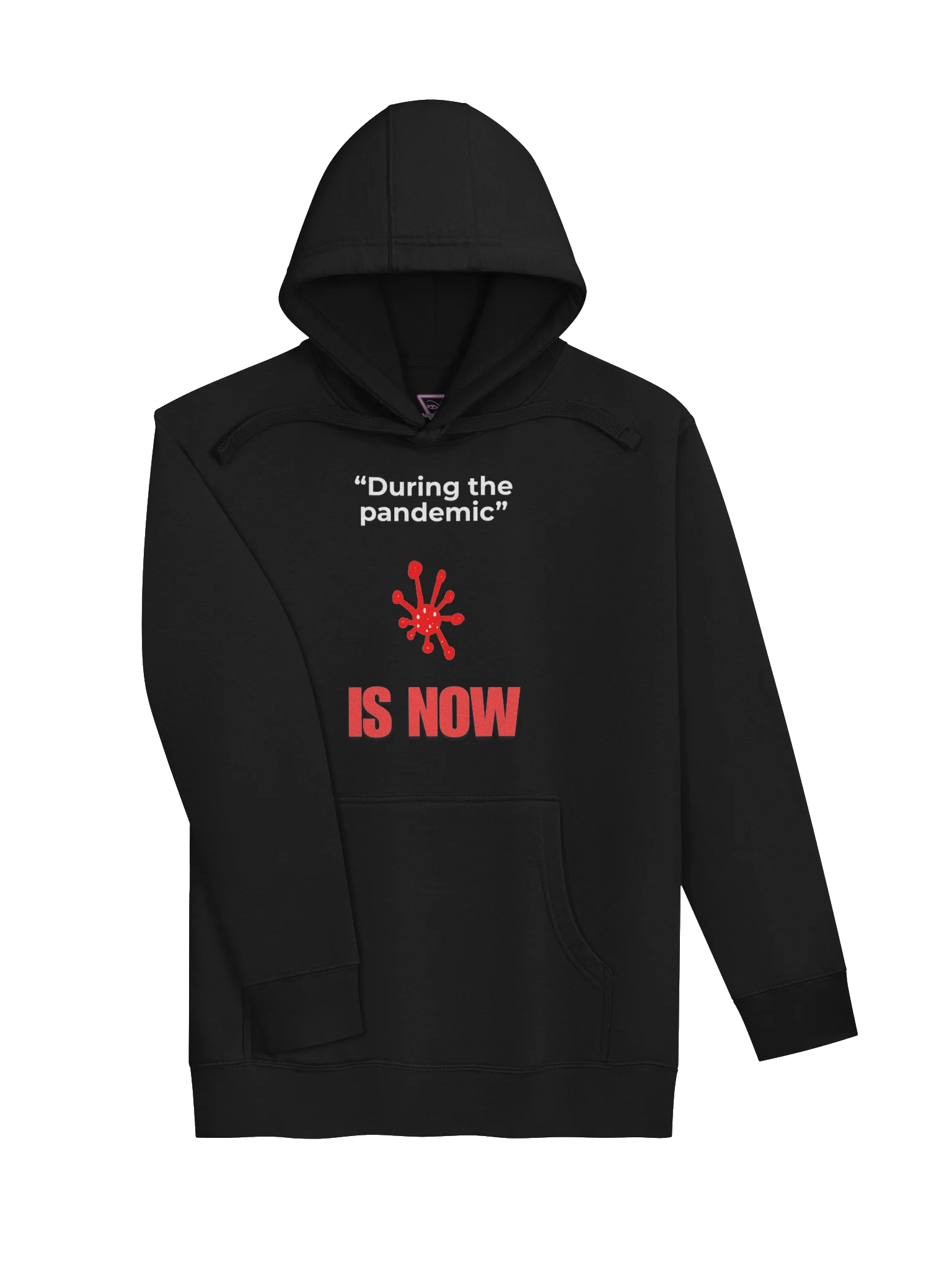 During The Pandemic Is Now hoodie product image (17)