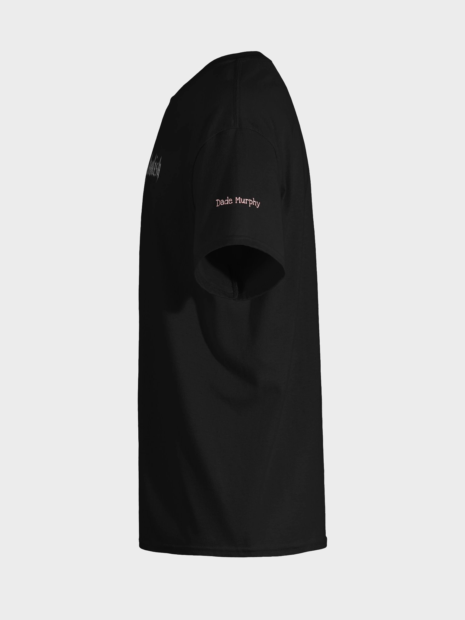 Fulfill Does Not Equal Abolish product image (7)