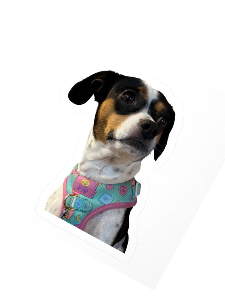 KGDS x Odessa Sticker – Forever in the Keep Pile product image (4)
