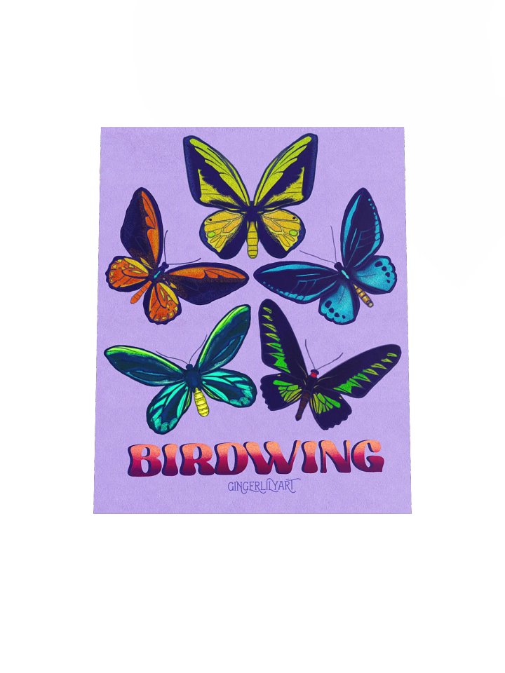 birdwing butterflies poster product image (1)