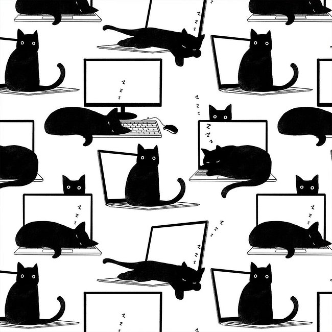 Cats Sleeping on Laptops