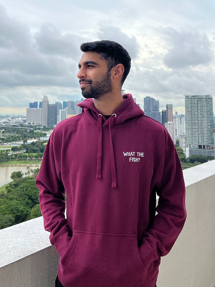 What The Fish Hoodie product image (1)
