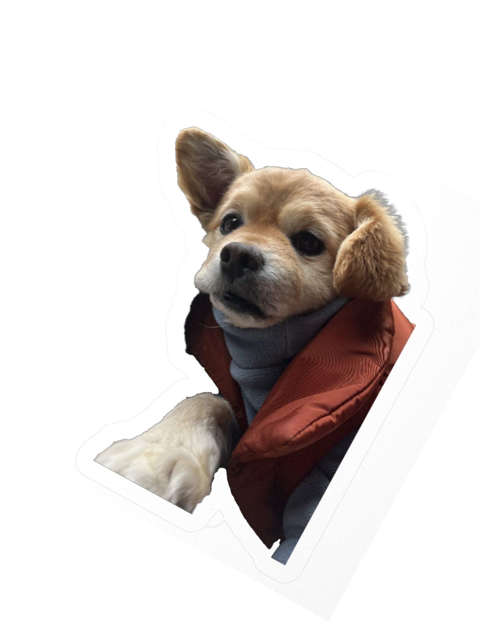 Marty McFry product image (4)