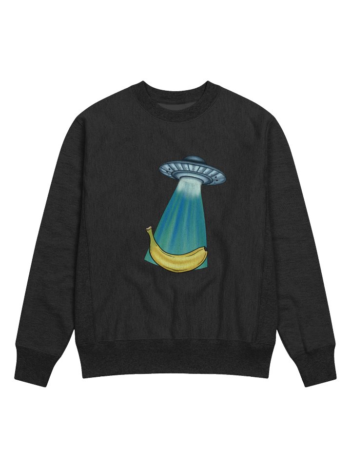 UFO Champion Cotton Max Sweatshirt product image (1)