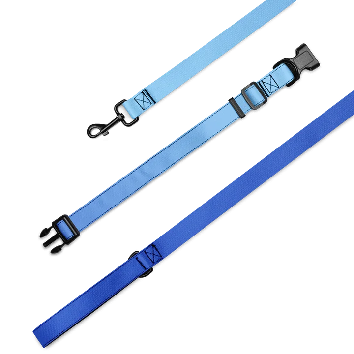 "Pet" Leash & Collar product image (2)