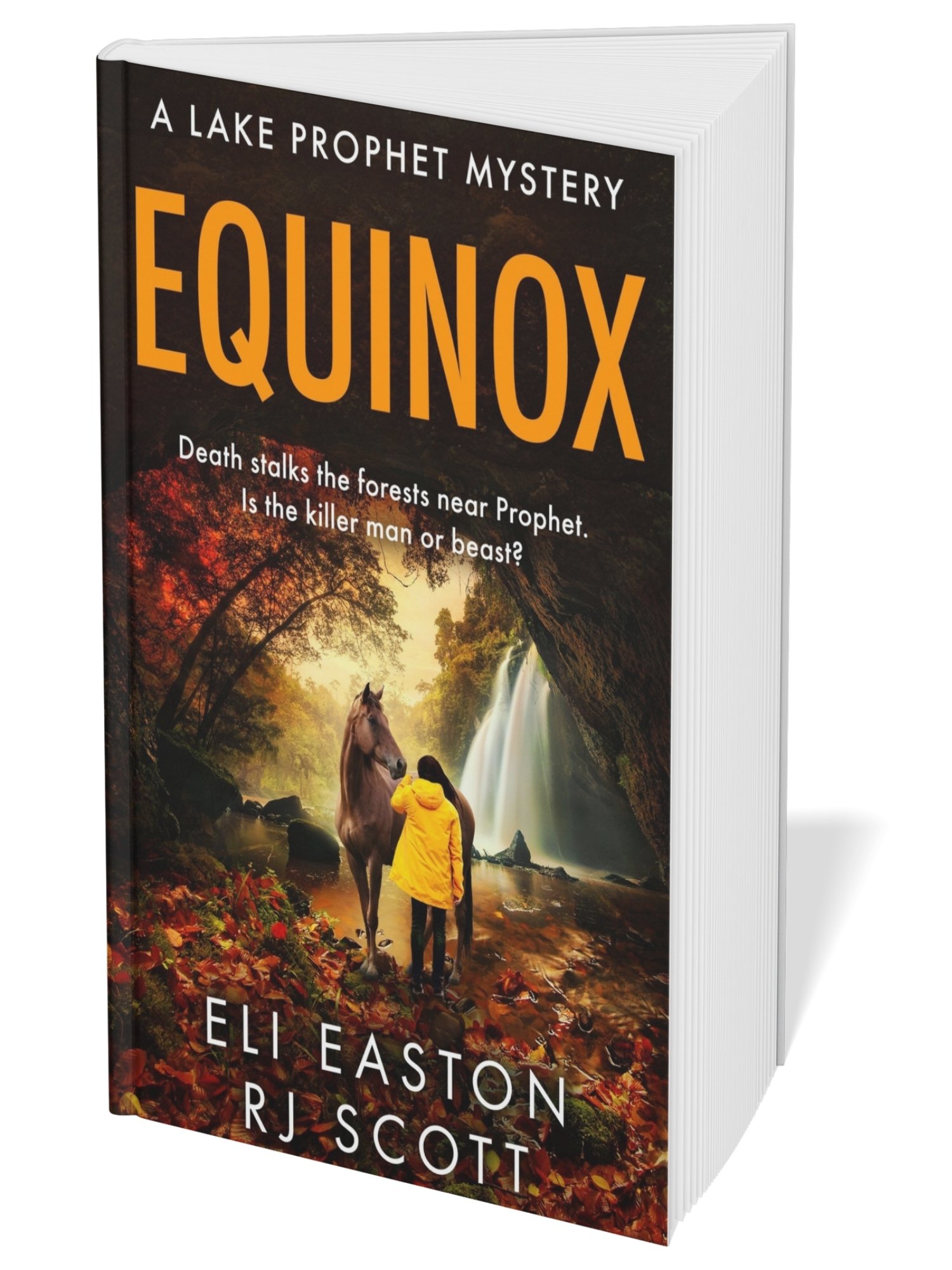 Equinox (Lake Prophet Mysteries, 2) product image (1)