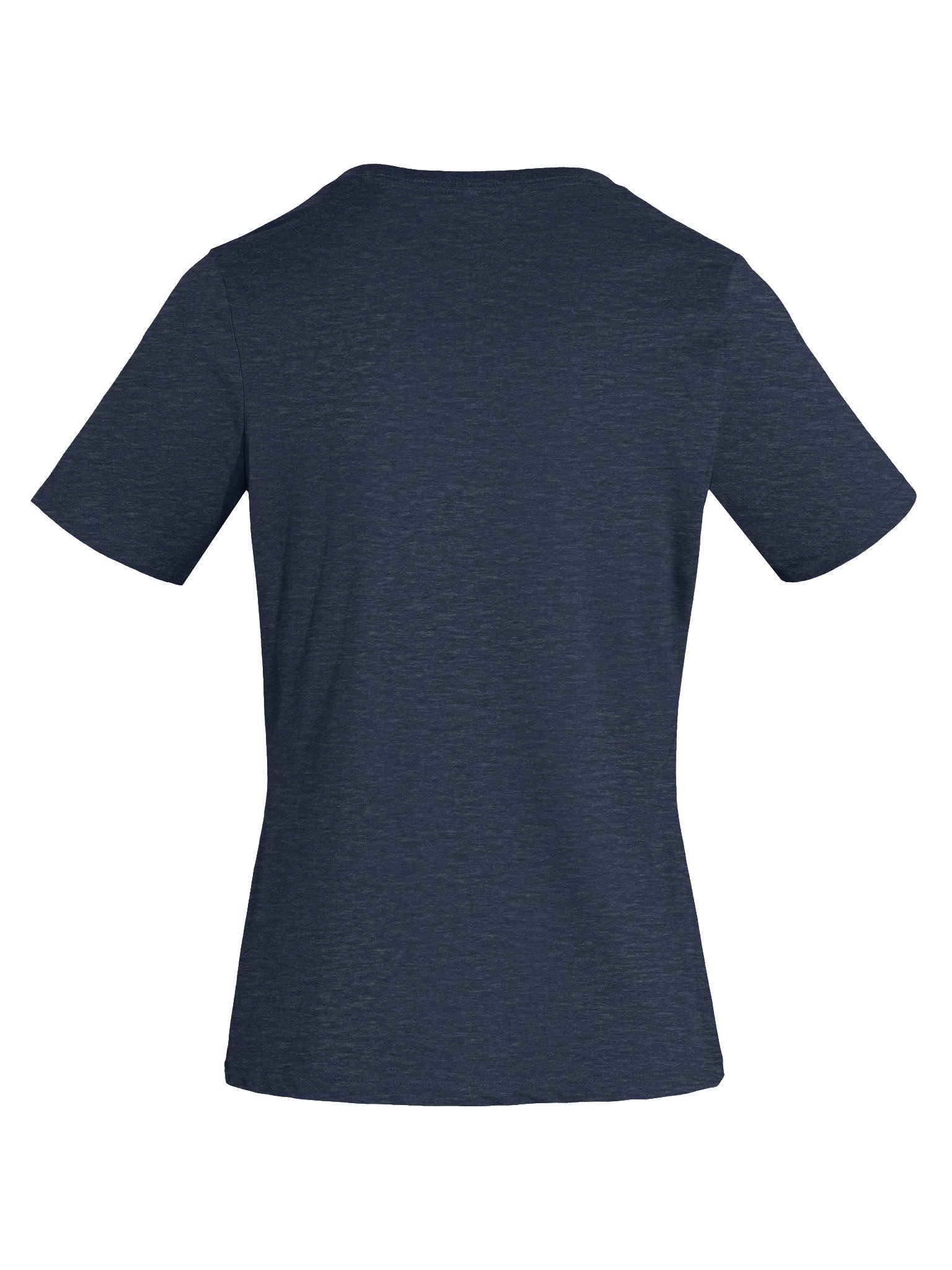 1970 Lions Logo Tee (women's fit) - Bella + Canvas product image (7)