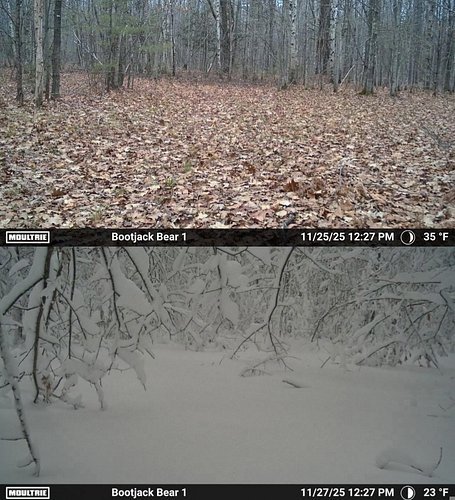 Quite the two day change in the Upper Peninsula on the trail cam!  Winter wonderland for Thanksgiving! 

#moultrie #trailcam ...
