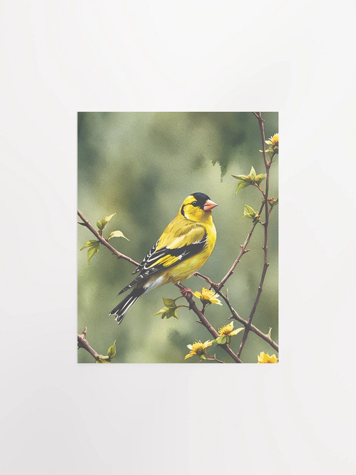 American Goldfinch Matte Poster product image (2)