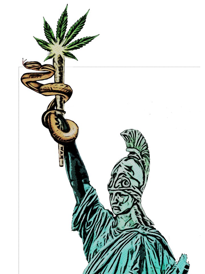 Trust, What's in your Pocket? product image (2)