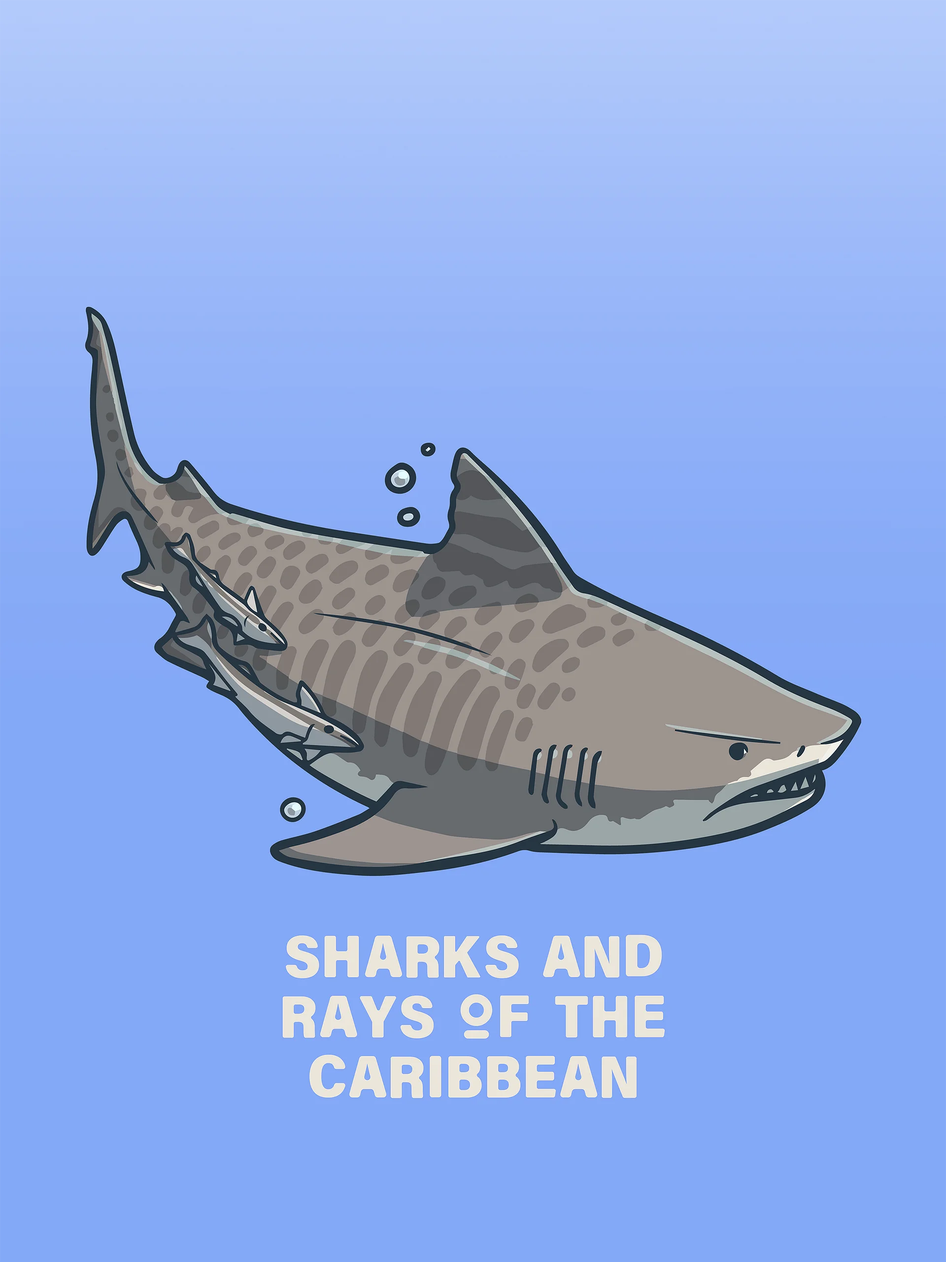 Sharks and Rays of the Caribbean - Icon Pack product image (5)