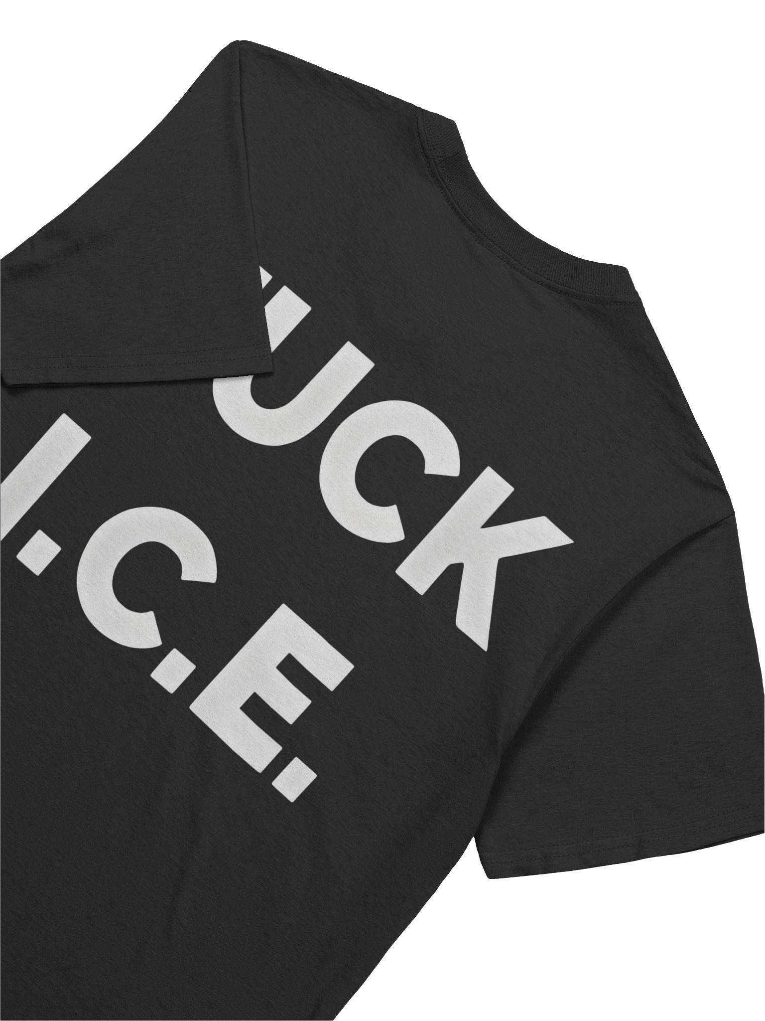 No One is Illegal on Stolen Land Fuck ICE Shirt product image (8)