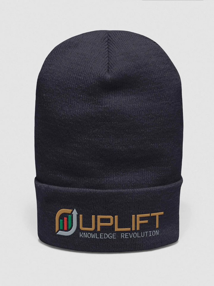 UpLift Beanie product image (1)