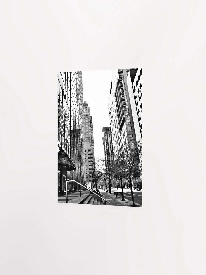 Downtown Orlando 2 product image (18)