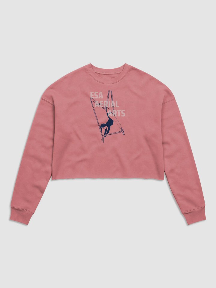ESA Aerial Silhouette Women's Crop Sweatshirt product image (1)