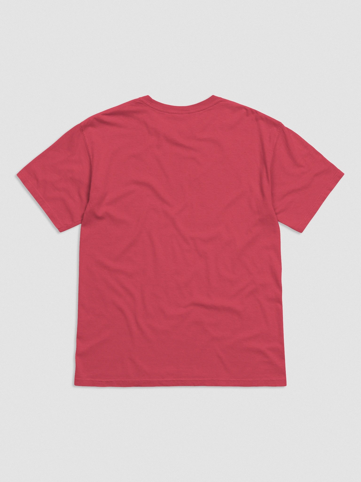 Iggy Like Sunday Morning T-Shirt(Embroidered) of an Italian Greyhound(Blue & White) product image (5)