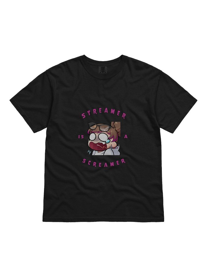 Streamer is a Screamer T-Shirt product image (1)