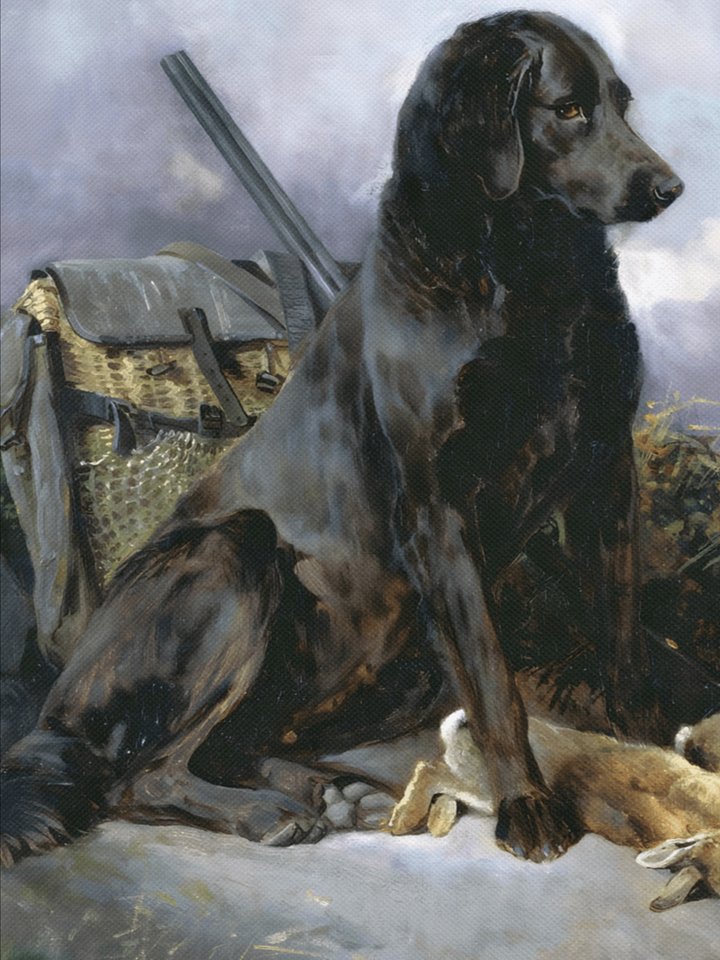 Antique Black Lab Hunting Painting Canvas Print product image (2)
