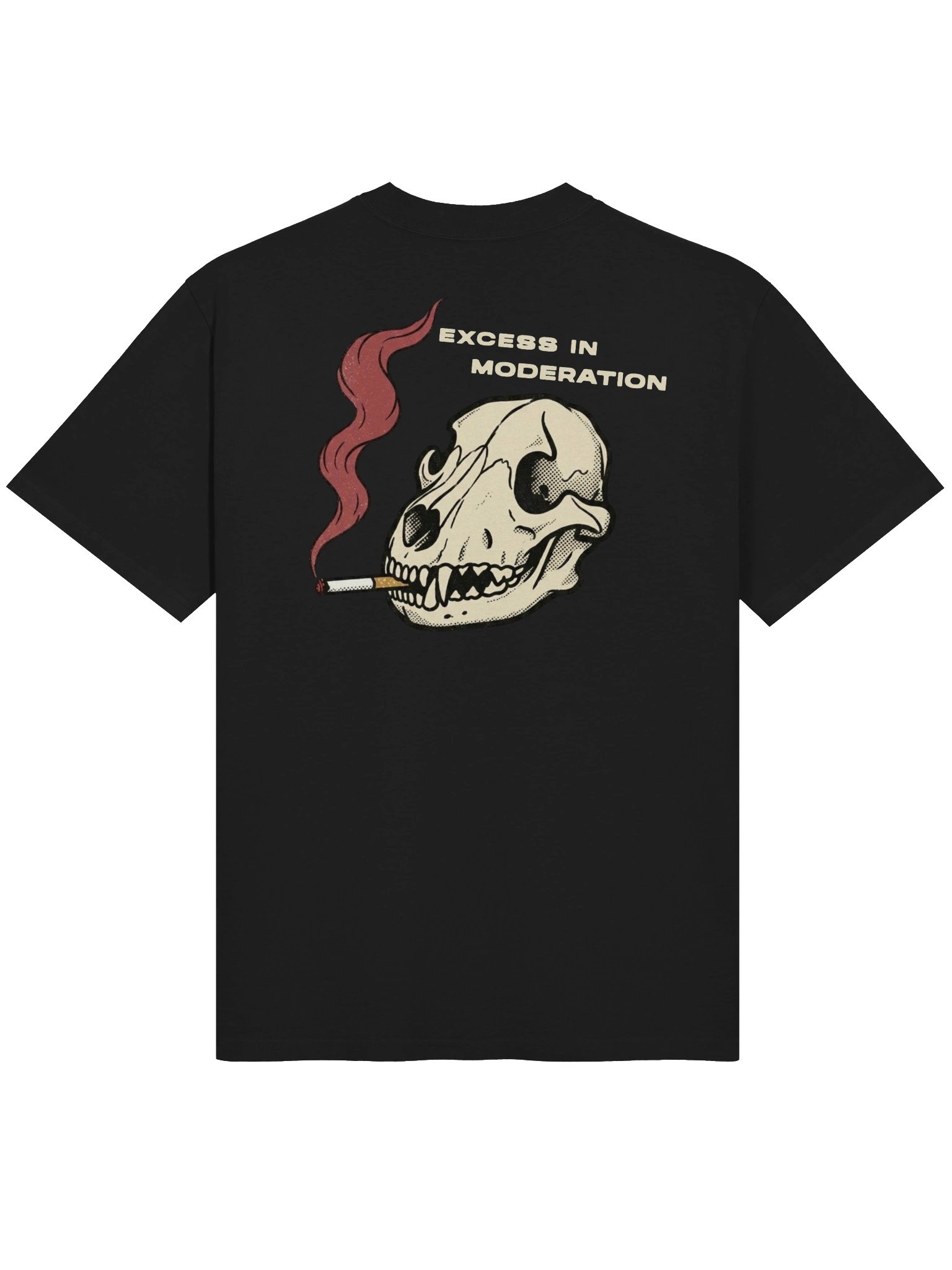 EXCESS IN MODERATION // Tee product image (2)