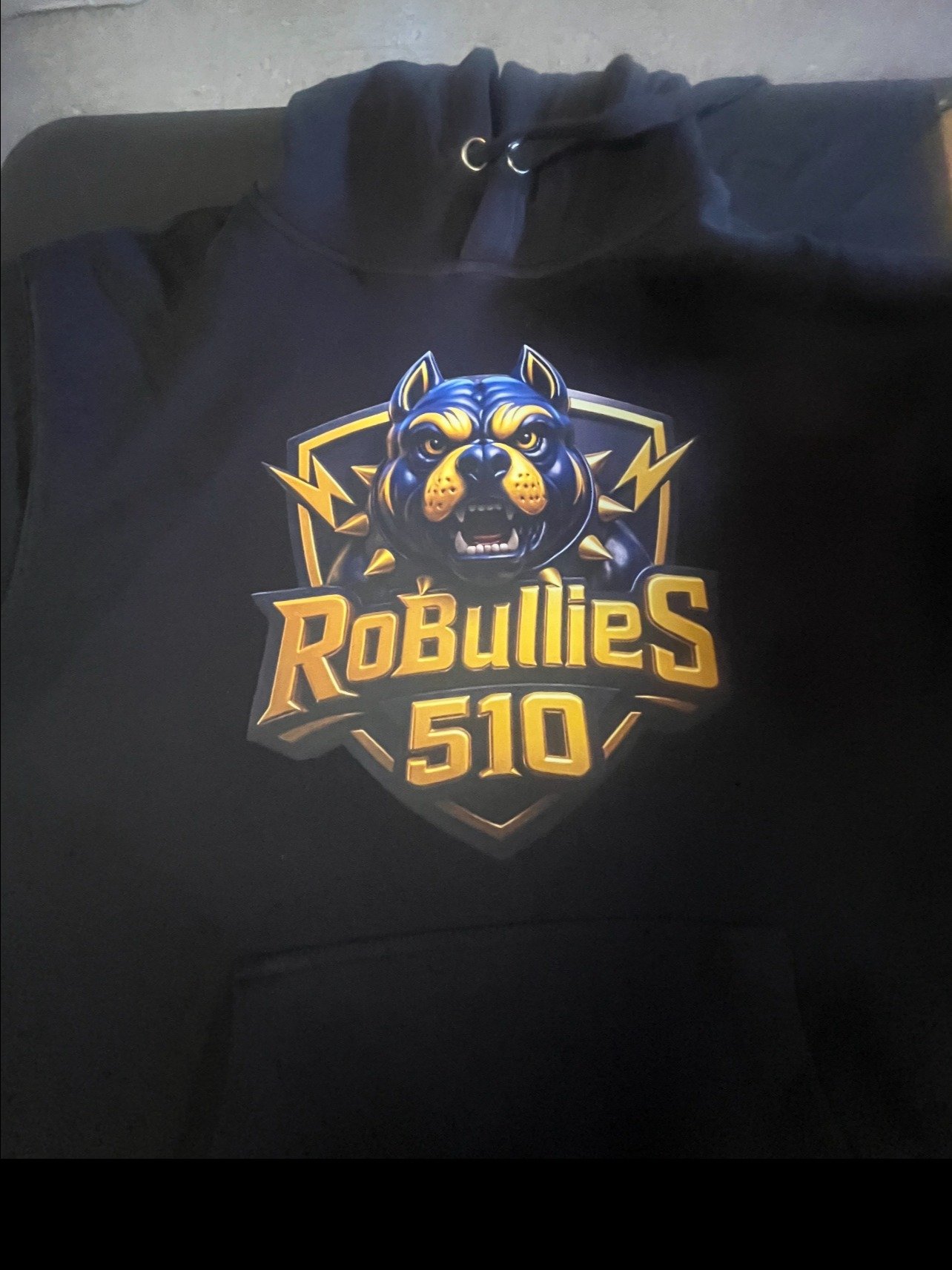 NEW BULLIES HOODIES product image (1)