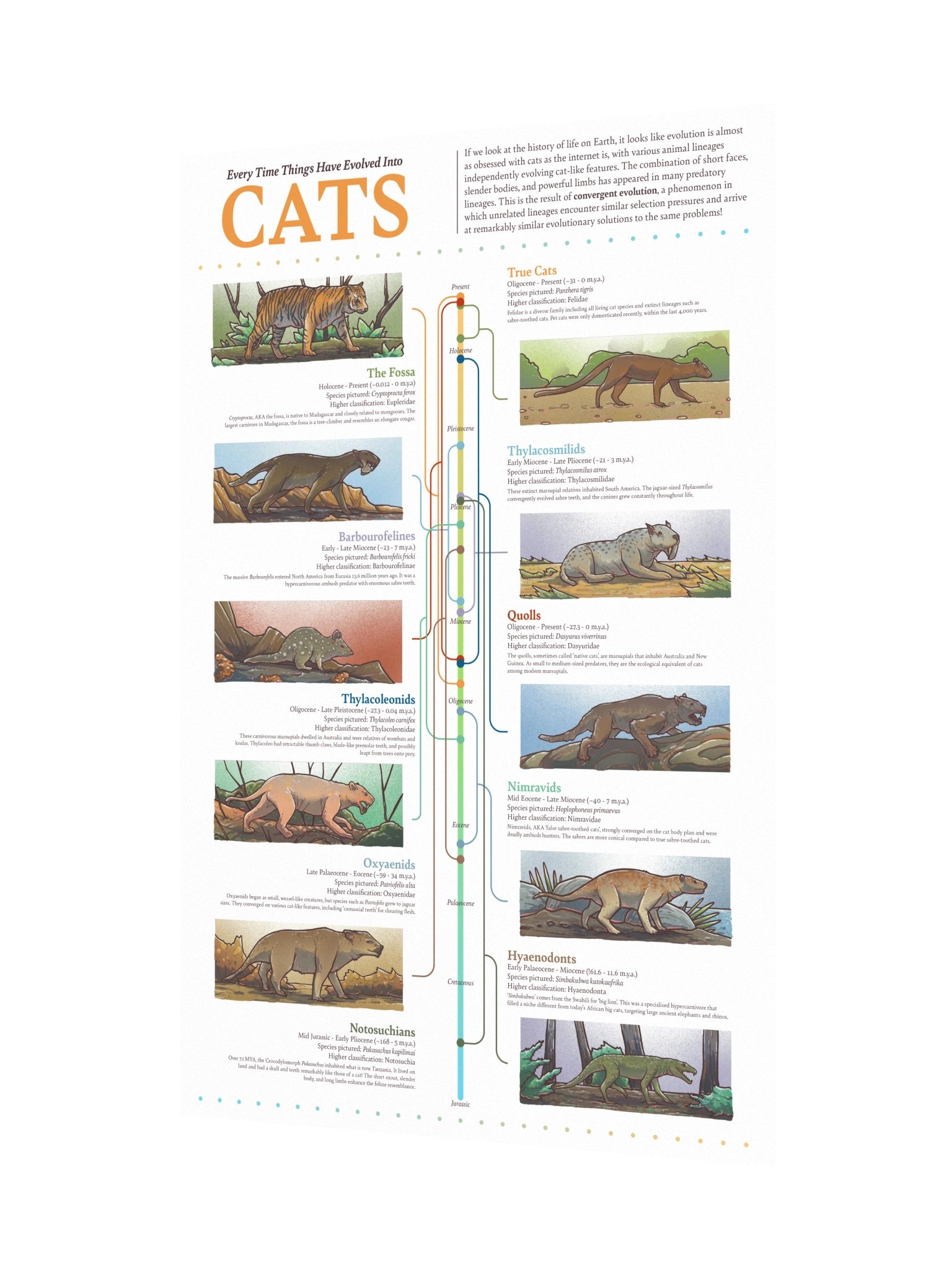 Cat Convergence Poster product image (3)