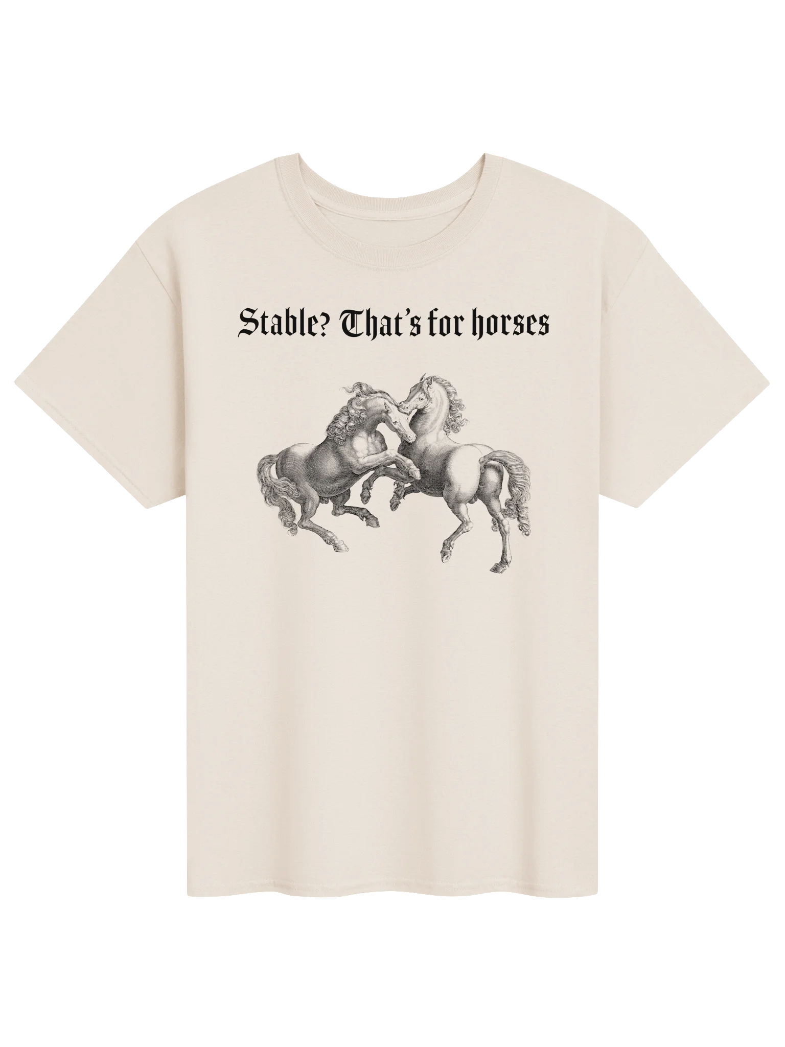 Stable? That's for horses product image (51)