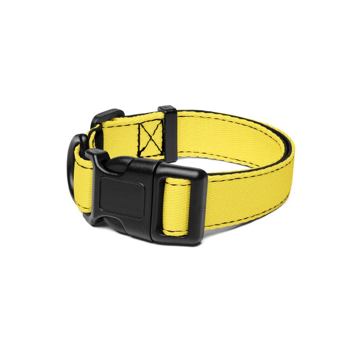 Pet Collar - Yellow Edition product image (1)