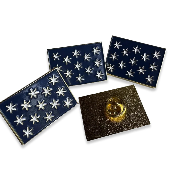 No Kings Lapel Pin product image (1)