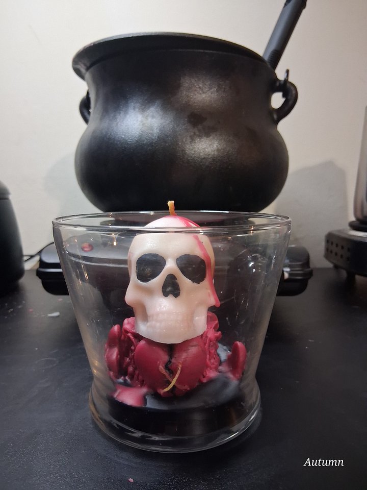Decorative Skull Candle product image (1)