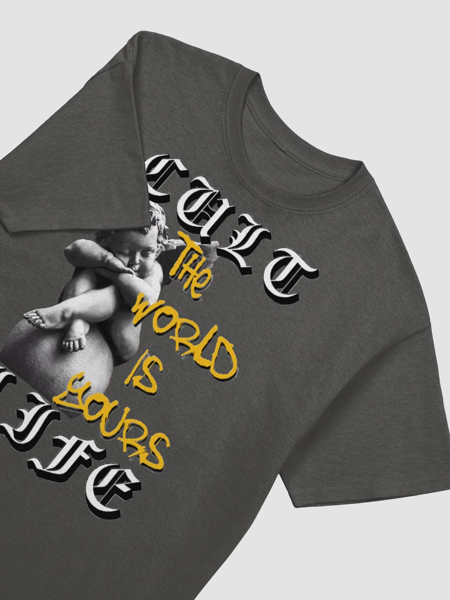 THE WORLD IS YOURS product image (3)