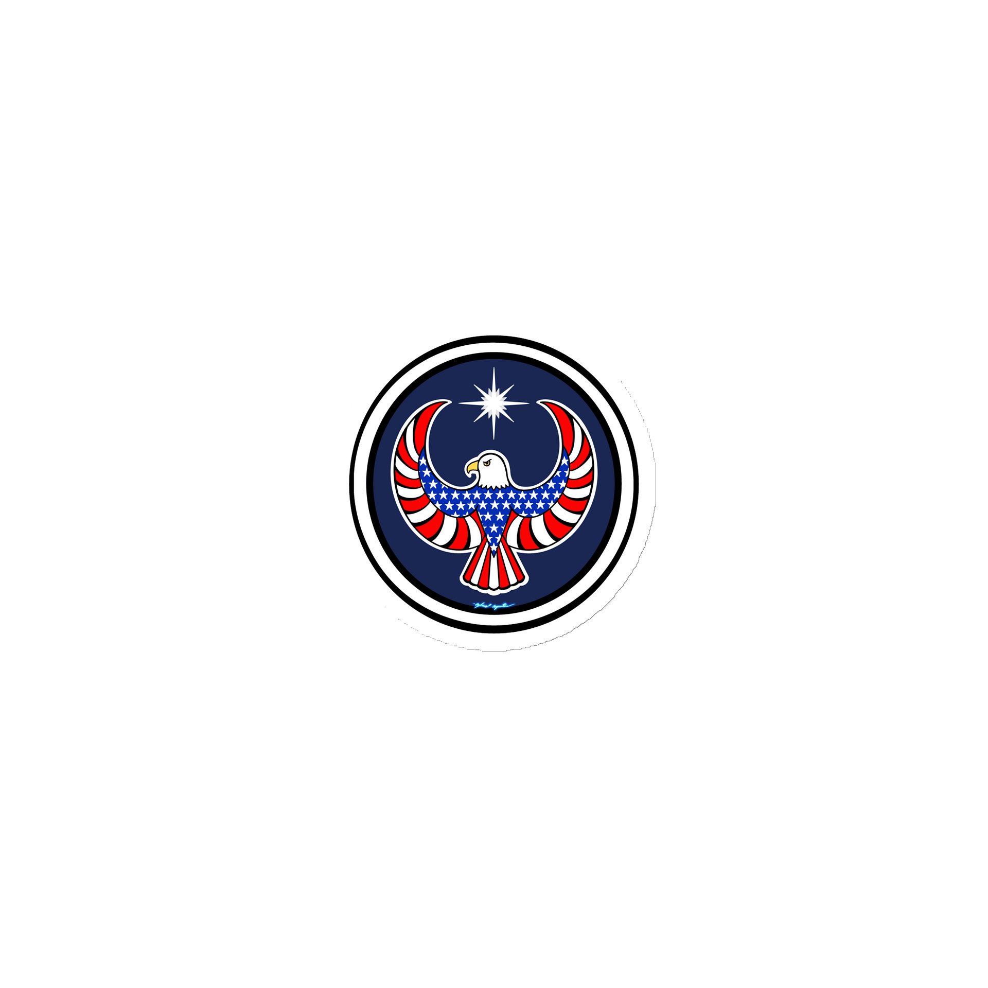 USA Eagle- Resistance (magnet) product image (1)