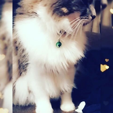 Faith being photogenic