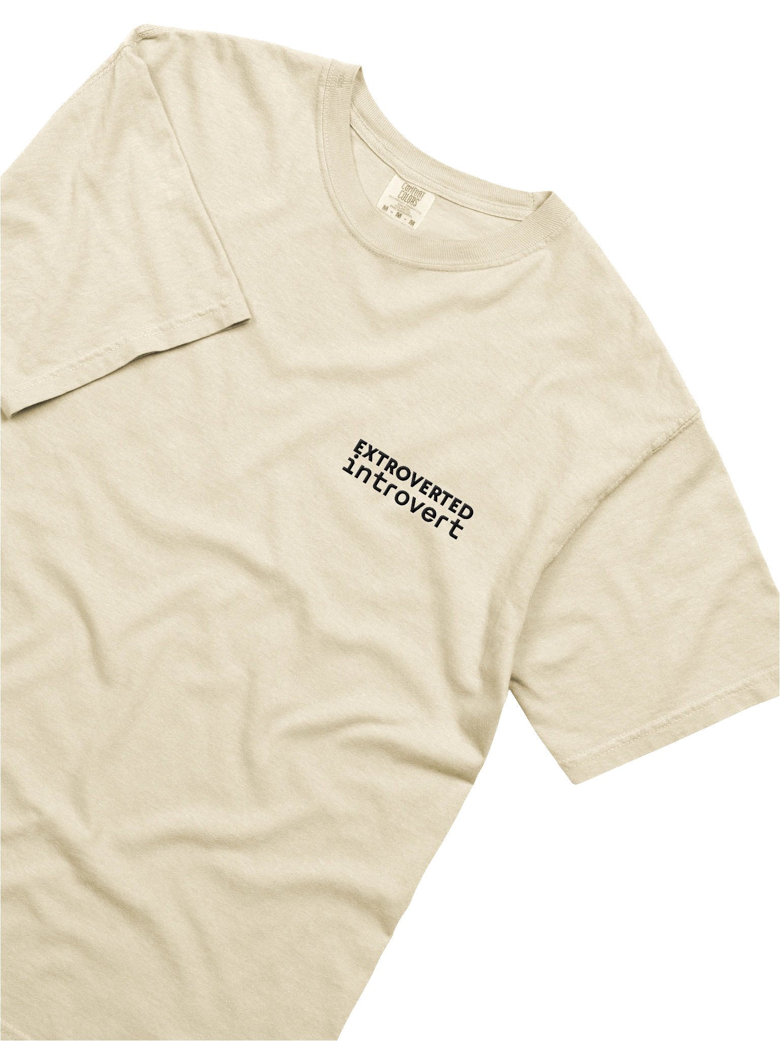 extroverted introvert - embroidered tee product image (13)
