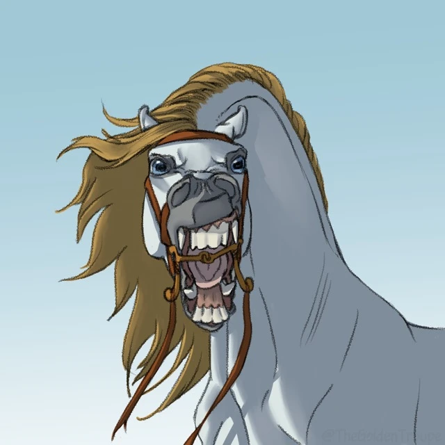 An angry grey Arabian mare (horse), Aspa, stares down the viewer while roaring