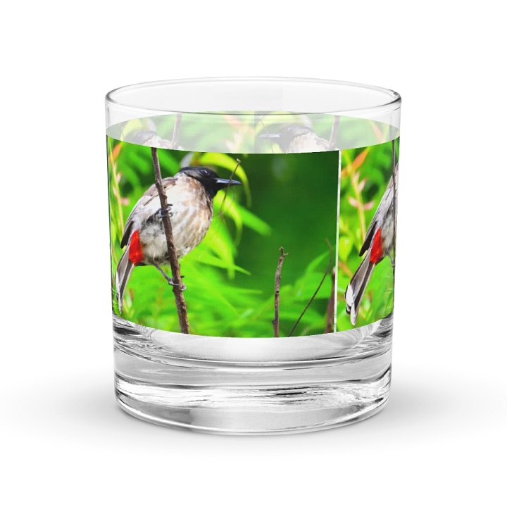 IUCAA Birds GLASS product image (1)