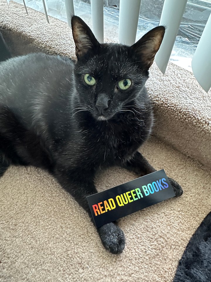 Read Queer Books bookmark product image (2)