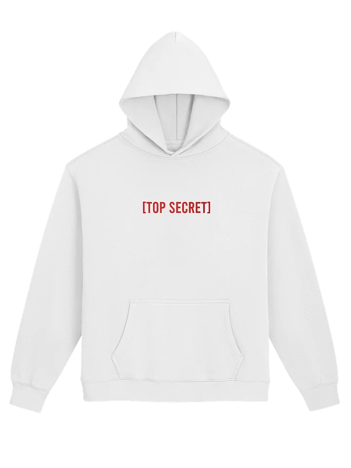 Top Secret Embroidered Hoodie product image (81)
