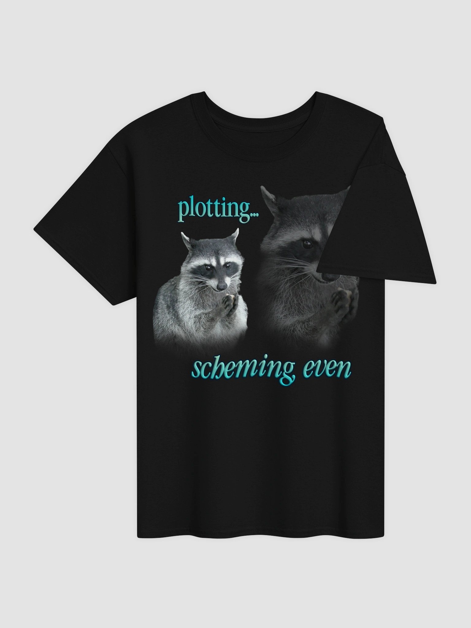 Plotting & Scheming Raccoon T-Shirt product image (16)