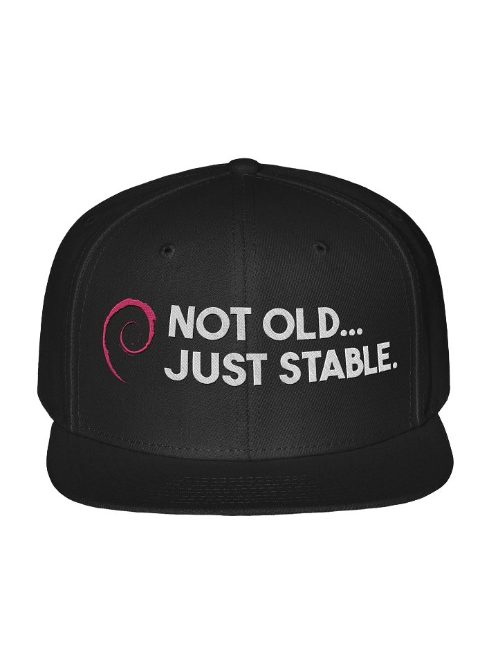 Debian Stable Flat Bill product image (1)