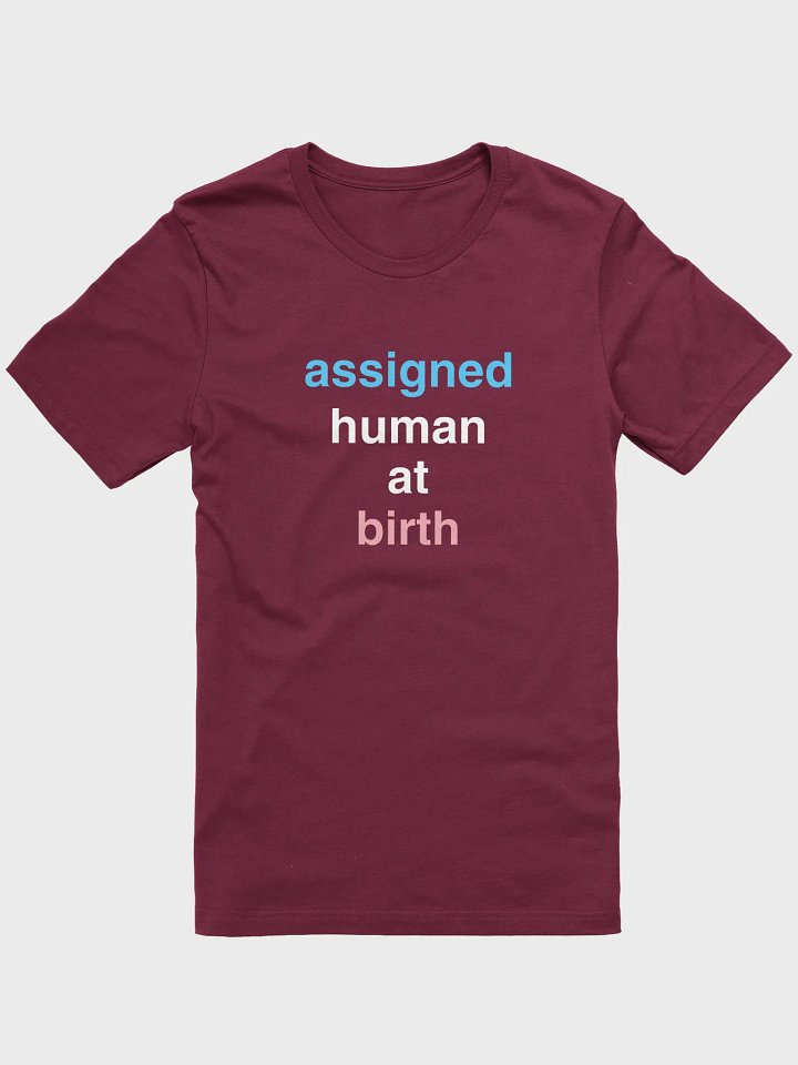 Assigned Human At Birth Trans T-Shirt product image (1)