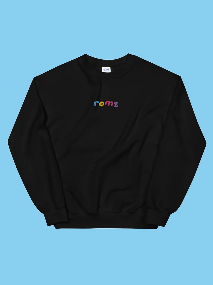 Embroidered Sweatshirt product image (1)