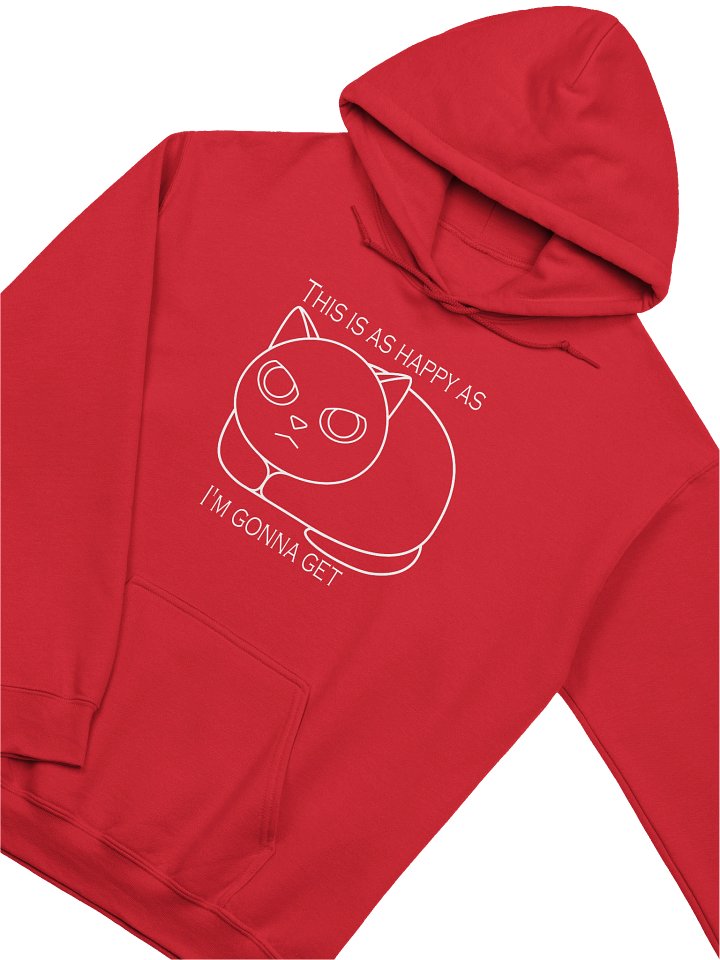 Happy Grumpy Cat - Unisex Adult Hoodie product image (18)
