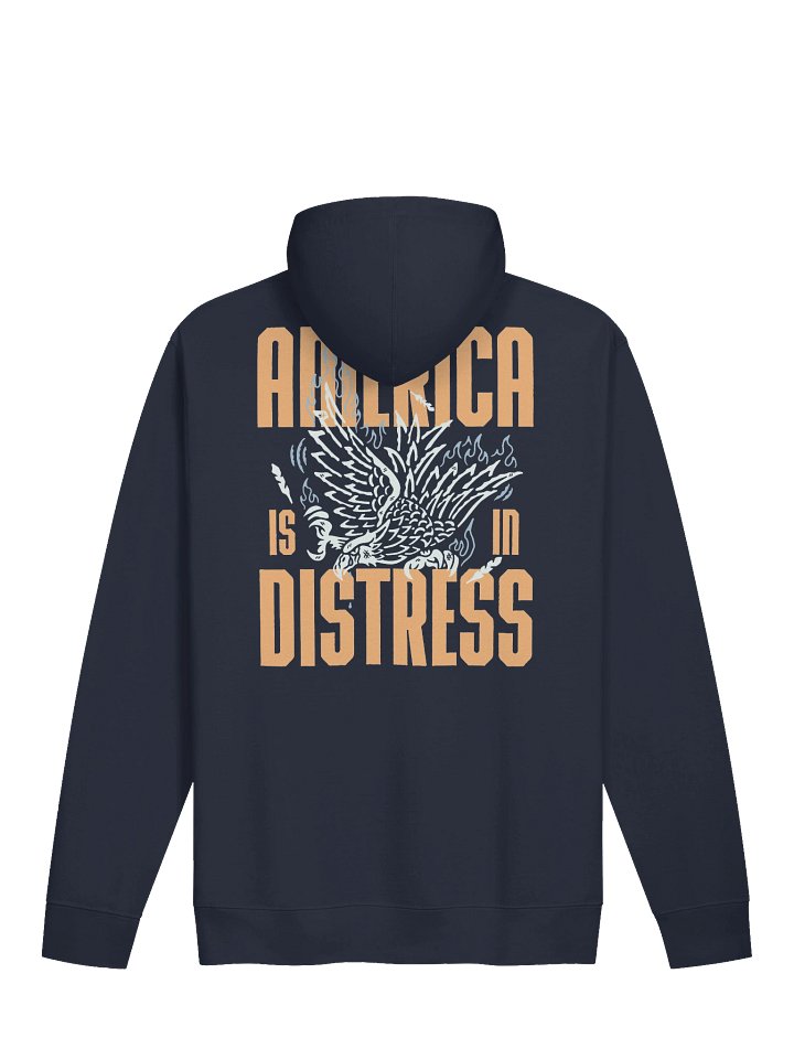 America Is In Distress - BB x ITC Hoodie product image (1)
