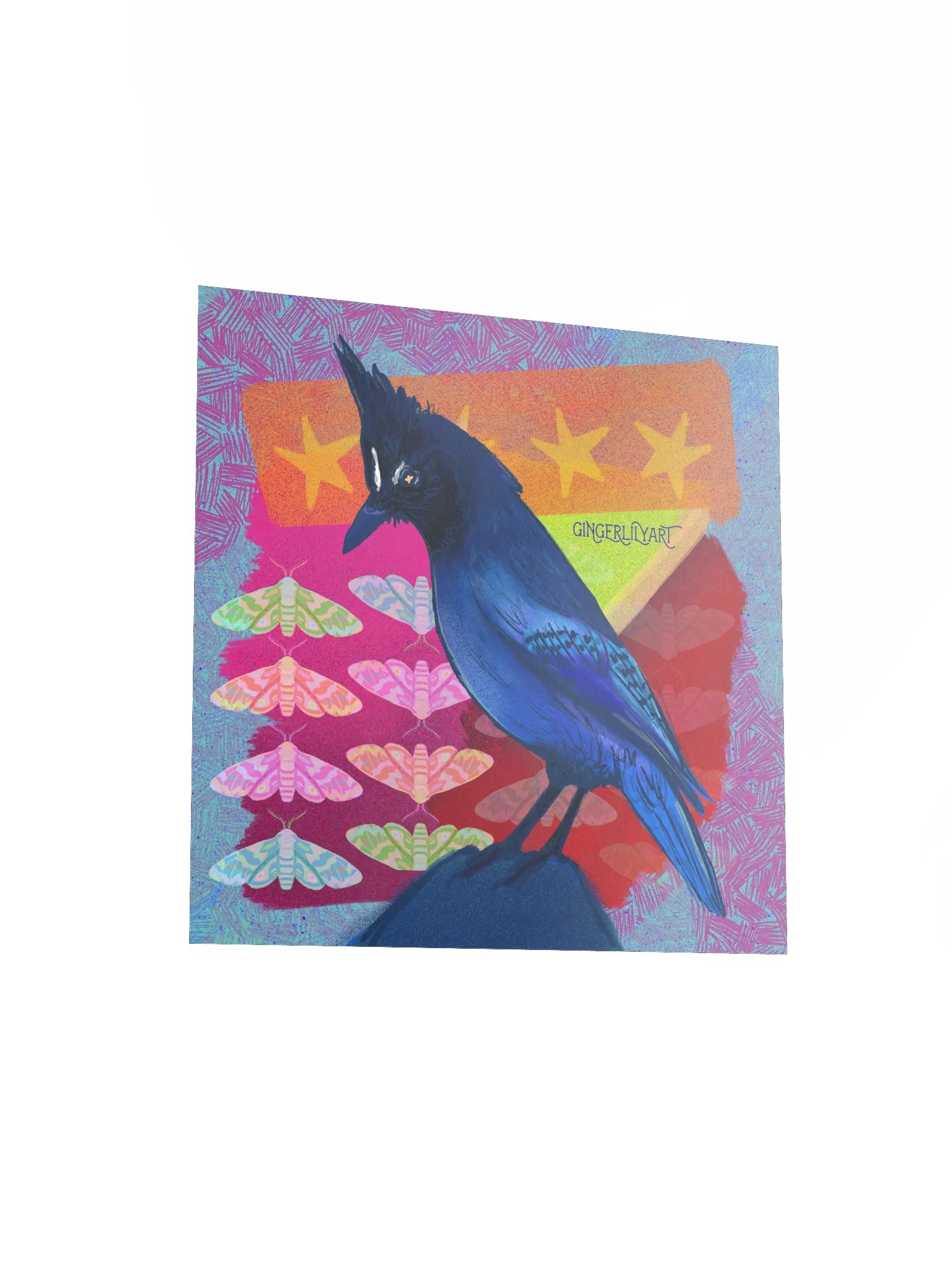 steller's jay print product image (10)